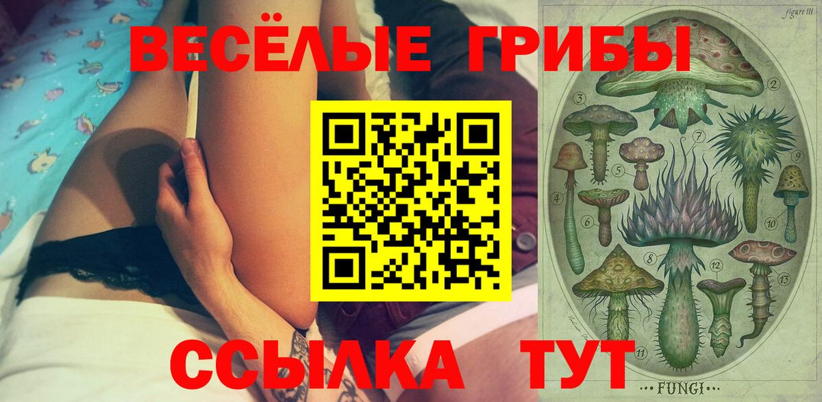 Псилоцибиновые грибы мухоморы  магазин продажи наркотиков  Вход с VPN  Медногорск  Галлюциногенные грибы ЛСД 